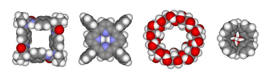 거대 고리화합물의 분자 구조.