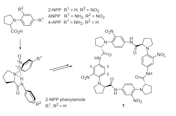 2-NPP amide 화합물의 분자내 수소결합 형성과 tetra-NO2 고리화합물의 구조