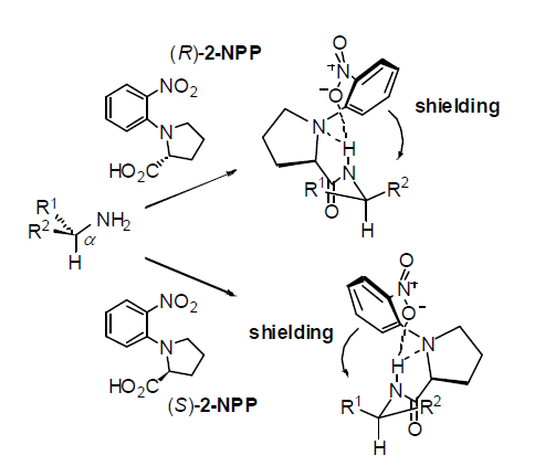 2-NPP amide 화합물의 분자내 수소결합