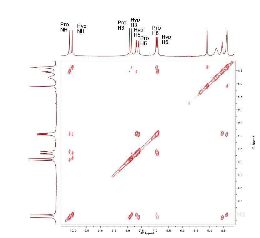 tetra-NO2-di-OH 고리화합물의 NOESY 스펙트럼
