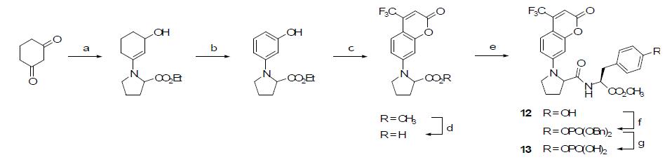 trifluomethylcoumarin 유도체 합성