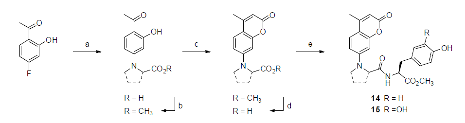 tyrosine/DOPA 형광유도체 합성