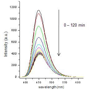 tyrosinase에 의한 tyrosine 산화반응 및 형광변화 [15(proline)] = 1 μM in 50 mM phosphate buffer (pH 7.4)) with 1% DMSO, λex = 365 nm