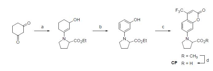 coumarin-proline 복합체 합성