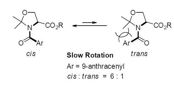 유사프롤린 화합물 amide 결합의 cis/trans rotamer