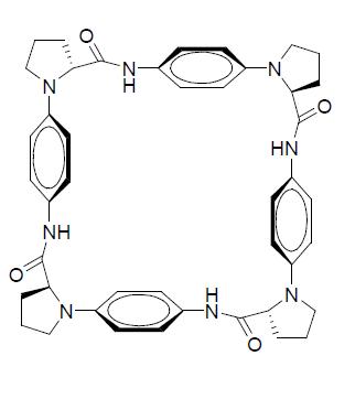 프롤린 기반의 고리화합물 구조