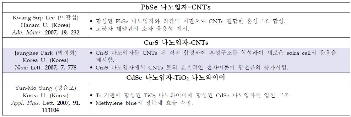 국내의 CNT 혼성 구조체 연구동향