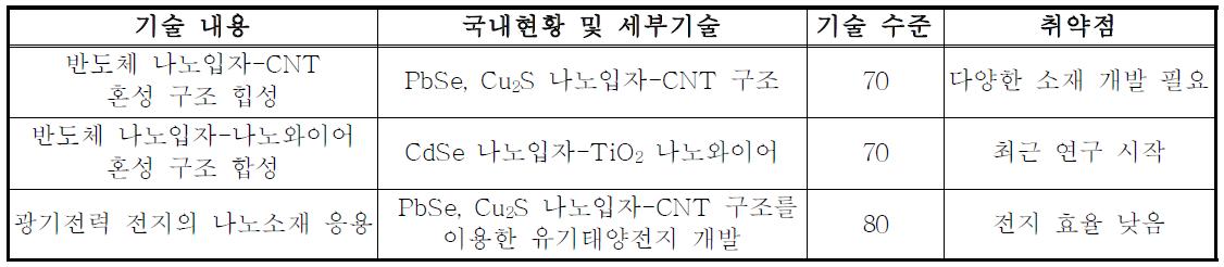 국내외 관련 기술 비교 및 취약점