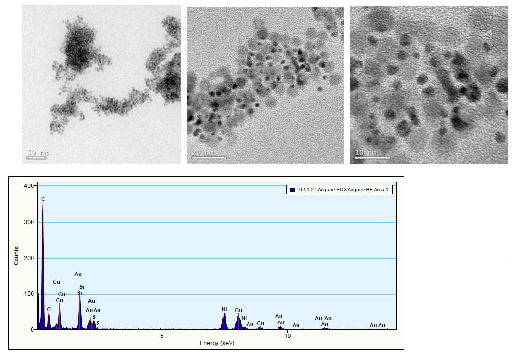 Cu2S-Au hybrid nanoparticle의 TEM image와 EDX 성분 분석