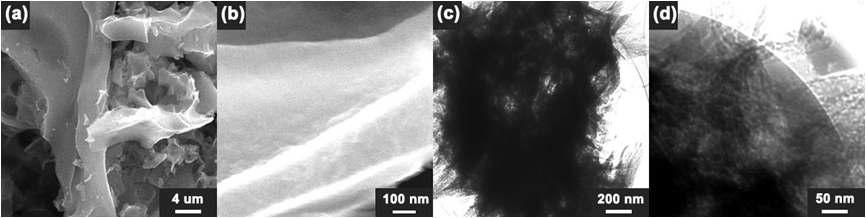 열화학기상증착법을 이용하여 합성 된 Graphene의 SEM, TEM image