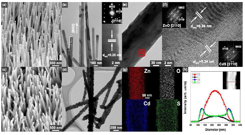 ZnO 및 ZnO-CdS core-shell 나노선의 SEM 및 TEM image