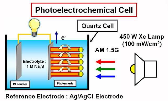 Photoelectrochemical Cell 모식도