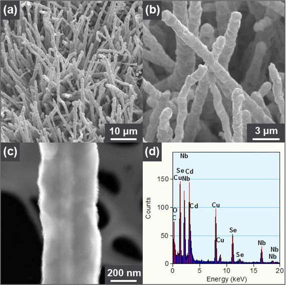 Nb2O5-CdSSe 나노선의 SEM, TEM 이미지 및 EDX