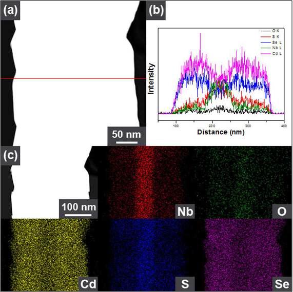 Nb2O5-CdSSe 나노선의 EDX line scan 및 mapping 이미지