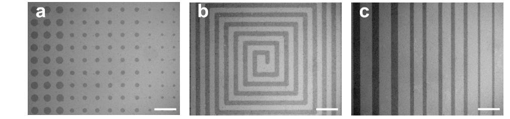 Optical images of the patterned SWCNT films. SWCNTs deposited on flexible PET substrate were patterned with O2-plasma under 500 W power and 70 mTorr chamber pressure for 5 min. The scale bar represents 300 μm.