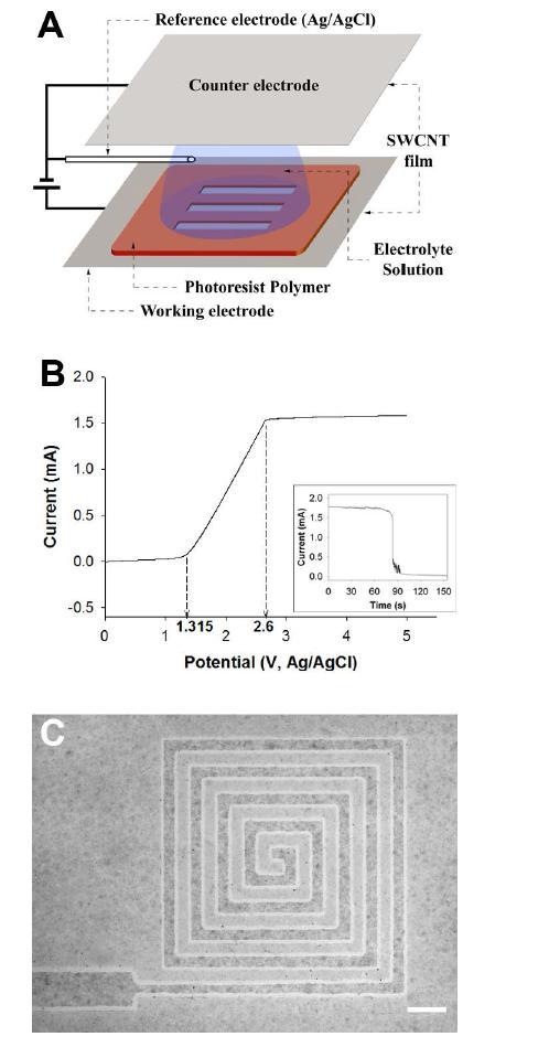 (A) Schematic of the electrochemical patterning of SWCNT films. (B) A typical voltammogram obtained from SWCNT films in an aqueous 0.1 M NaCl electrolyte solution. Inset: The current vs. time curve obtained for anodization of SWCNT films. (C)Optical microscope image of the patterned SWCNT film on the PET flexible substrate. The scale bar represents 300 μm.