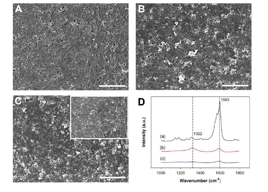SEM images of SWCNTs (A) protected with a photoresist polymer, (B) exposed to electrochemical etching, and (C) in the interface between (A) and (B).Inset: SEM image of the interface between (A) and (C). (D) Raman spectra of SWCNT films recorded from SWCNTs (a) protected with a photoresist polymer, (b)exposed to electrochemical etching, and (c) in the interface. The scale bars represent 1μm.