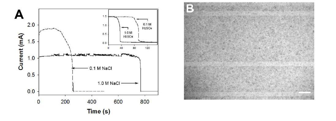 (A) Effect of electrolyte concentration on the electrochemical etching of SWCNT films at a constant potential of 3.0 V. (B) Optical image of the SWCNT film patterned electrochemically in 1.0 M H2SO4 electrolyte solution.