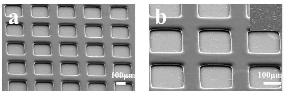 Micrographs of PEG microwells on SWNTs film. (a) SEM image of the high- density array of 200×200μm hydrogel microwells with 100μm protein-high- density array of 200×200μm hydrogel microwells with 100μm protein-resistant PEG side walls(×70). (b) Higher-magnification (×130) SEM micrograph of the hydrogel microstructures. Inset shows higher magnification view of SWNTs in the attachment sites (×3000).resistant