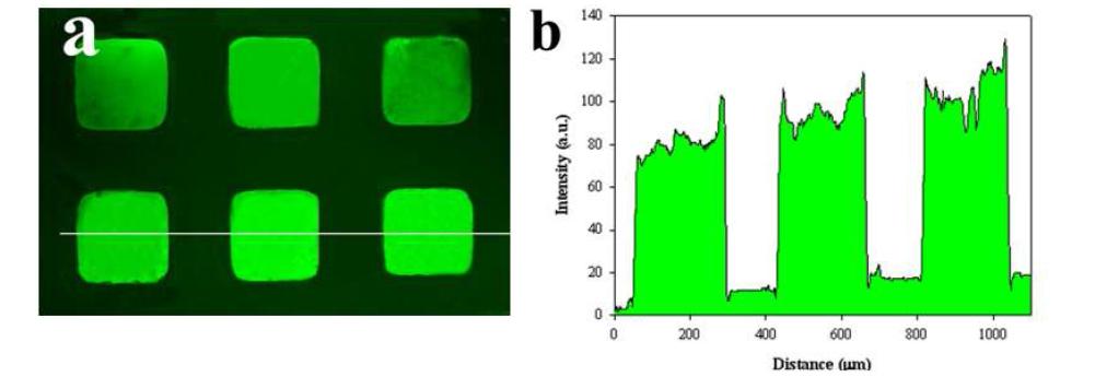 (a) Fluorescence image of BSA -FITC immobilized in the SWNTs attachment sites of PEG microwells.(b)Fluorescence intensity profile of the line in (a).