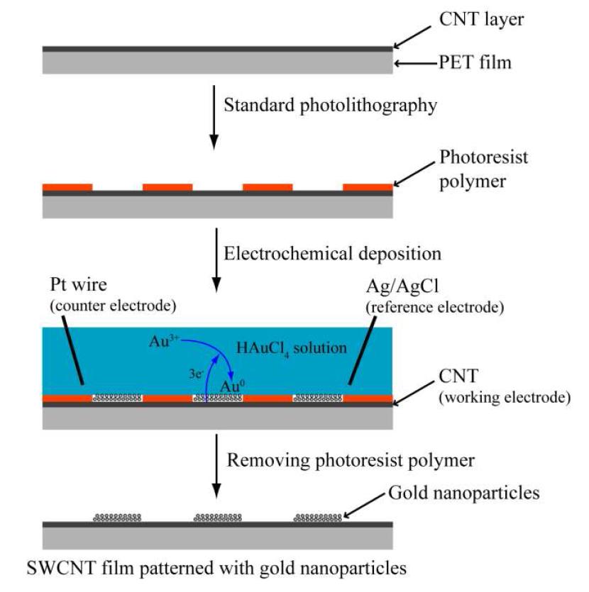 Schematic of the gold nanoparticle patterning process on SWCNT films by the electrochemical deposition method.