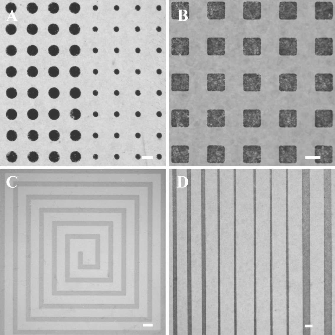 Optical microscope images of the SWCNT films patterned with gold nanoparticles. 10 mC was deposited onto SWCNT films, which were used as the working electrodes. Clean platinum wire and Ag/AgCl (saturated in 3M NaCl) were used as counter and reference electrodes, respectively. The scale bars are 100 μm.
