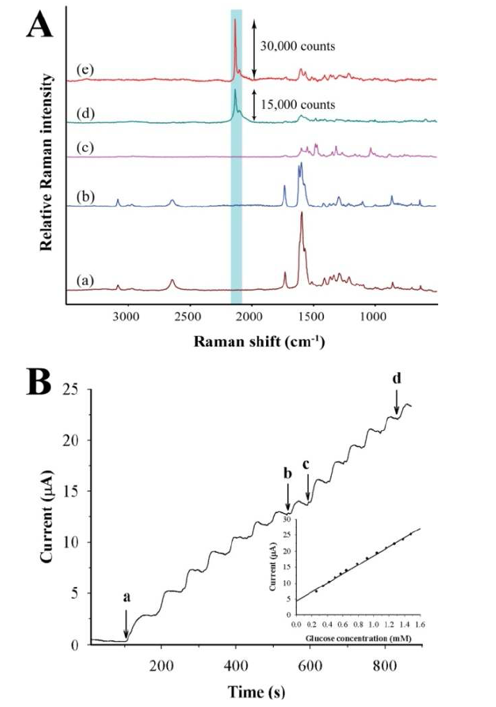 (A) Typical surface-enhanced Raman spectra of SWCNT films: (a) bare SWCNT film, (b) SWCNT film treated with 10 mg/ml of K3[Fe(CN)6], (c) gold nanoparticle-patterned SWCNT film, and gold nanoparticle-patterned SWCNT filmtreated with (d) 1mg/ml, and (e) 10mg/ml of K3[Fe(CN)6]. The deposited charge for gold nanoparticle patterning was 30 mC. (B) Amperometric response of the gold nanoparticle-patterned SWCNT electrode in glucose solution at the potential of 0.1 V. 50 μL (a-b)and 100 μL (c-d) of 5 mM glucose were successively added into the 50 mM of phosphate buffer including 0.1 M of NaOH. Inset is the calibration plot between the signal and the concentration of glucose solution.