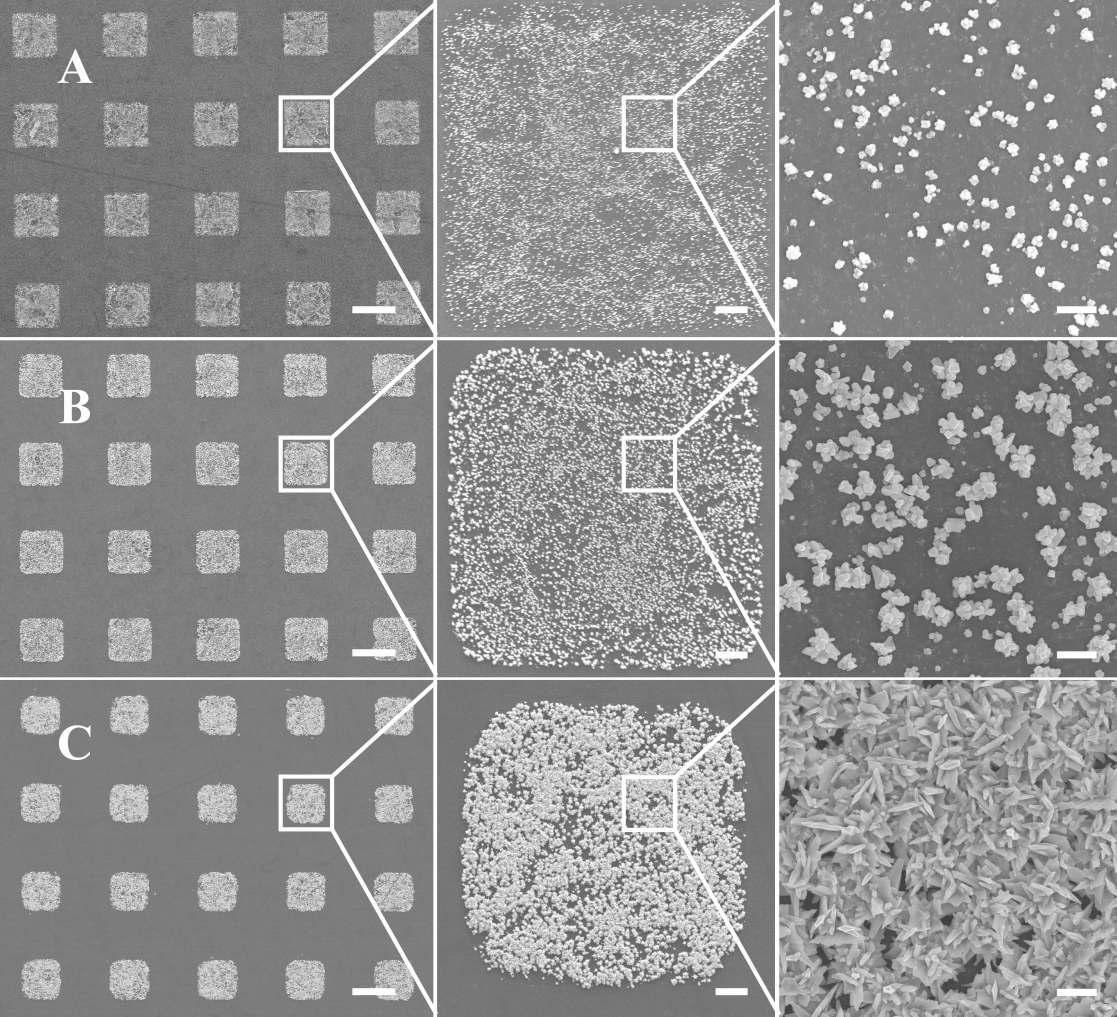 FE-SEM images of gold nanoparticles patterned onto SWCNT films by electrochemical deposition. The deposited charges for (A), (B), and (C) were 1 mC, 10 mC, and 30 mC, respectively. The scale bars in the left, middle, and right columns are 100 μm, 10 μm and 1 μm, respectively.