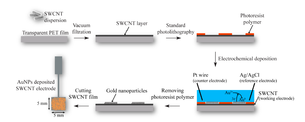 Schematic of the AuNPs array fabrication on SWCNT film using a electrochemical deposition method.