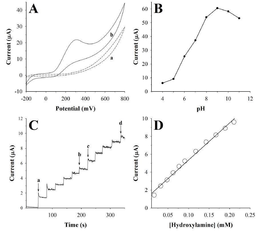 (A) Cyclic voltammetries for the oxidation of 1 mM hydroxylamine at (a) pristine SWCNT and (b) AuNPs-SWCNT electrodes in 0.1 M PBS (pH 9.0) at a scan rate of 20 mV/s. (B) Effects of solution pH on the oxidation of hydroxylamine at a AuNPs-SWCNT electrode. (C) Amperometric response of the AuNPs-SWCNT electrode in hydroxylamine solution at the potential of 0.2 V. 50 μL (a – b) and upon the addition of 100 μL (c – d) 1 mM hydroxylamine to the 0.1 M PBS (pH 9.0) solution. (D) Calibration plot between the signal and the concentration of hydroxylamine solution.