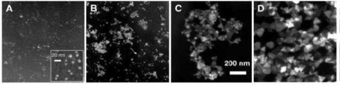 Ag nanoprism 입자 합성 과정