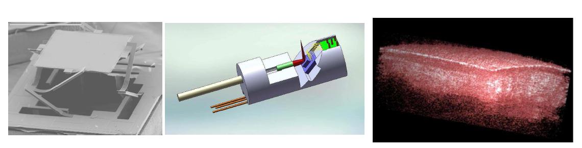 Electro-thermal 2D M EMS 미러 기반 OCT 내시경 시스템 개략도 및 3D mouse tongue image