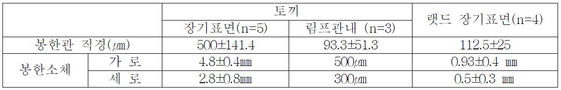 토끼와 랫드의 봉한관과 봉한소체 크기