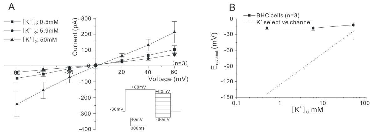 Current-voltage relations obtained in the perfusion solution whose K+ is replaced with Na+.