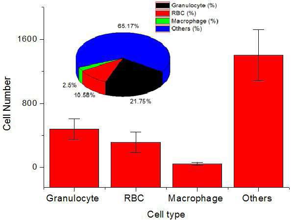 Composition of cells averaged from 8 primo-nodes.