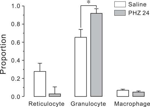 Changes in cell composition in the primo-node isolated from the anemic rats.