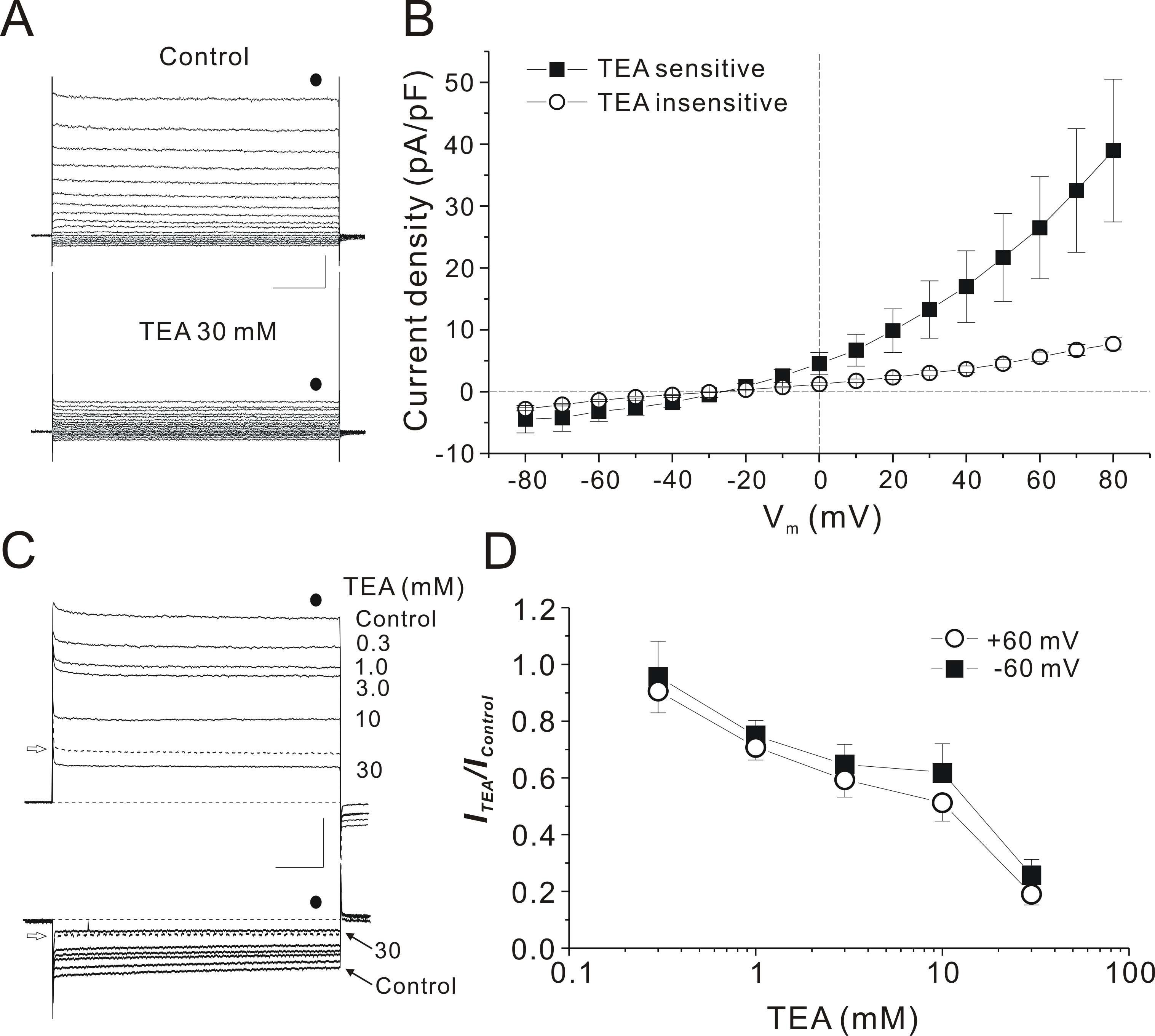 TEA-induced block of whole cell current in Type I cells