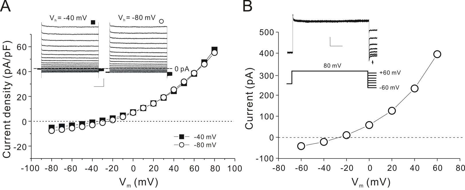 Reversal potentials of whole-cell current in Type I cells.