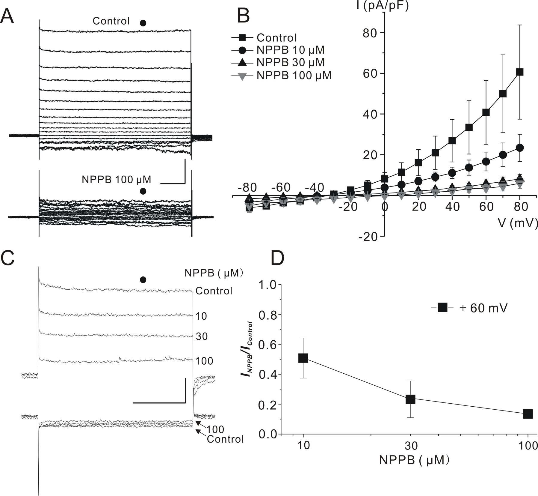 NPPB-induced block of whole cell current in Type I primo-node cells.