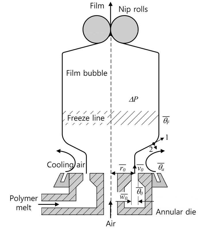 Schematic diagram of film blowing process.