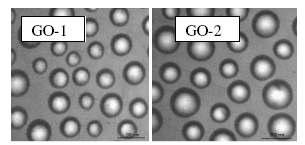 TEM morphology of self-assembled nanoparticles