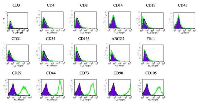 Phenotypic characteristics of MSCs-AT isolated by niche preserving organ culture system. Outgrown cells exactly shared phenotypic character of mesenchymal stem cells derived from bone marrow