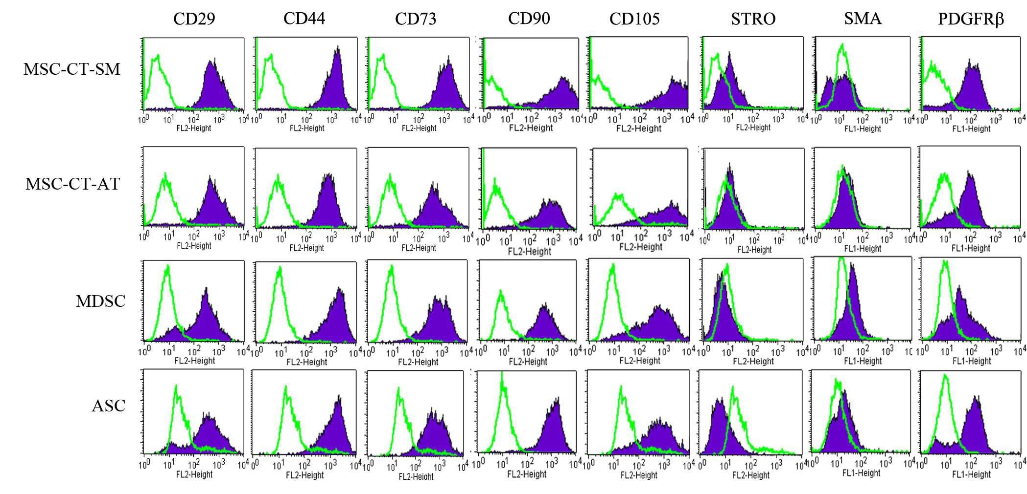 Flow cytometry analysis of cells derived from connective tissue of adipose tissue and skeletal muscle. MSCs-CT-SM, mesenchymal stem cells derived from loose connective tissue of skeletal muscle; MSCs-CT-AT, mesenchymal stem cells derived from loose connective tissue of adipose tissue; ADSCs, adipose-derived stem cells; MDSCs, muscle-derived stem cells