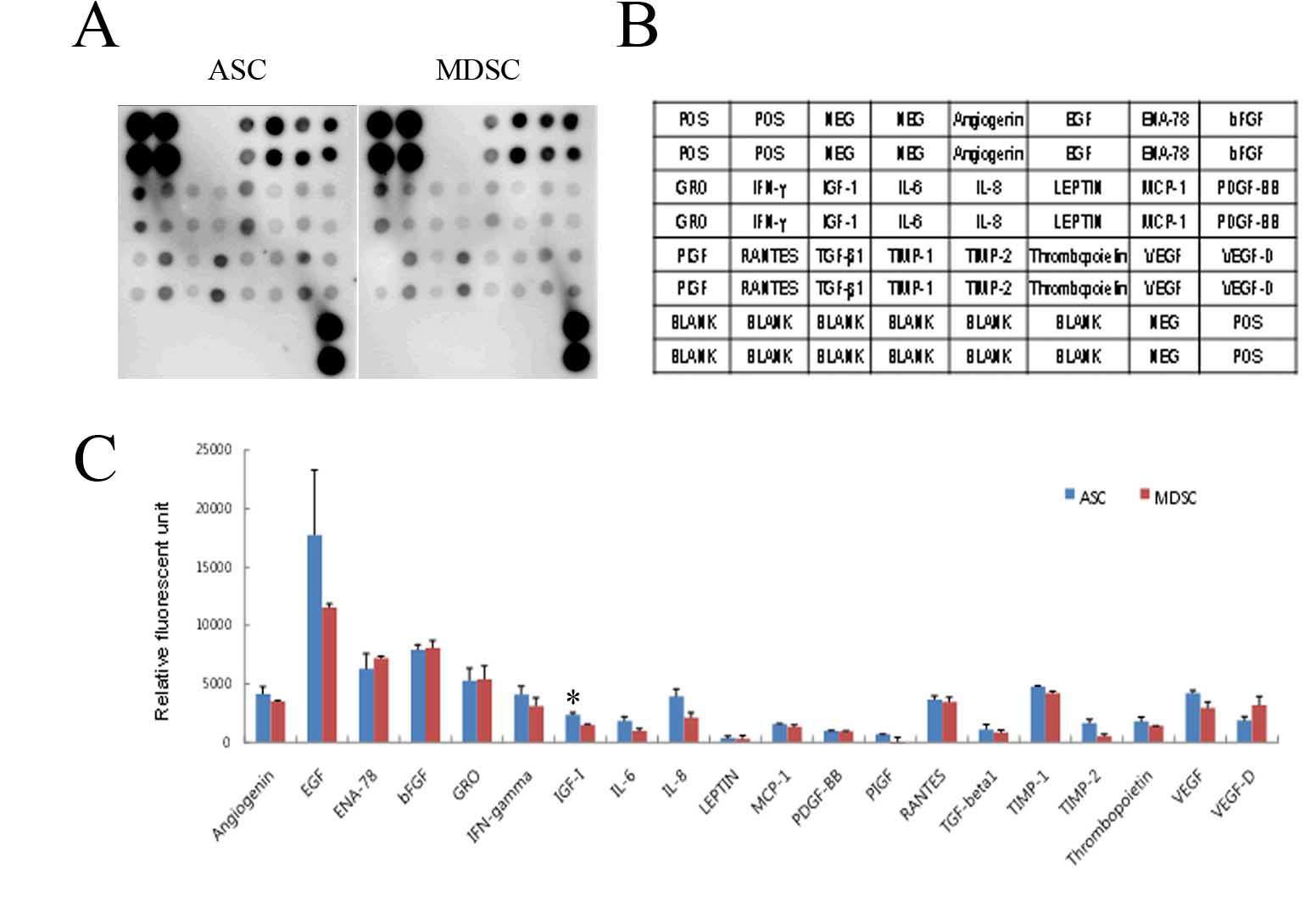 Expression profile of MSCs-AT populated in adipose tissue therapeutics.