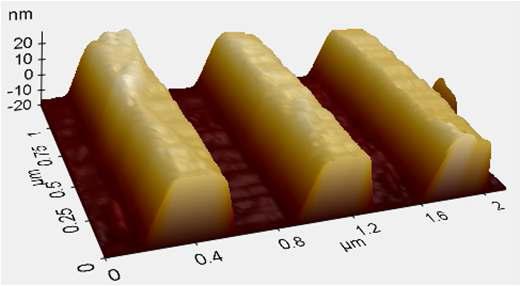 실험에 사용된 샘플의 AFM 이미지