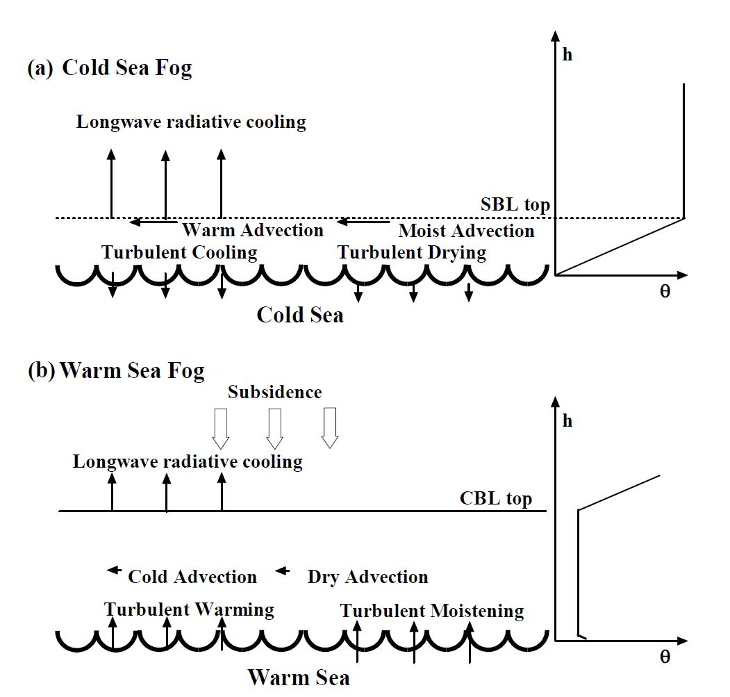Schematic plots of the conceptual models for cold (a) and warm (b) sea fog formation off the west coast of the Korean Peninsula. Typical vertical soundings of SBL and CBL are displayed next to each schematic plot. The length of arrow indicates the relative strength of each component of CR and MR, based on Table 7.