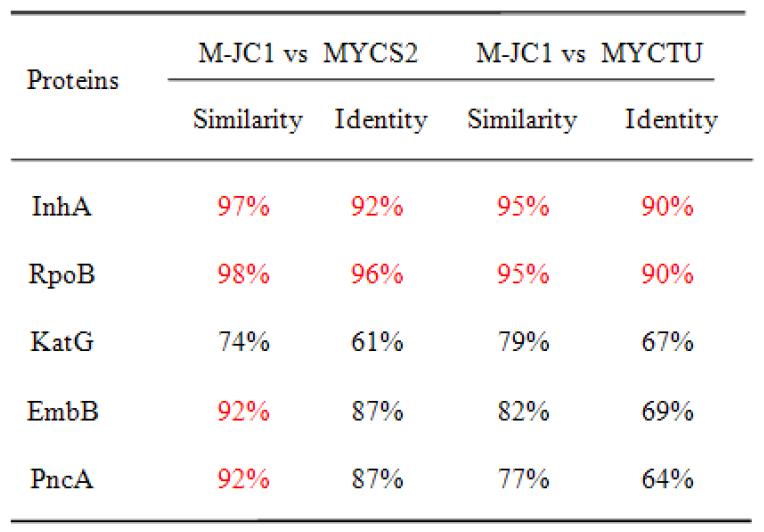 Mycobacterium sp. JC1과 다른 mycobacteria의 약제내성 연관 단백질 간의 유연관계 조사