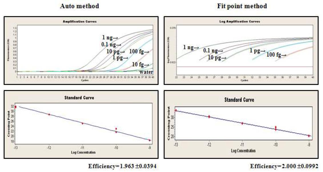 Standard curves of qPCR for KatG S315T (AGC ACC) mutation detection with genomic DNA.