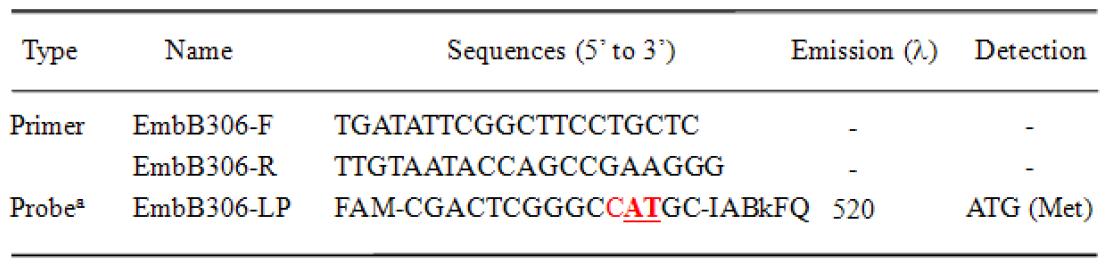 Primers and Probes used for detecting EmbB Met306 mutations.