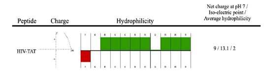 HIV-1, Tat-PTD의 각 sequence별 charge (초록색이 positive moieties임)